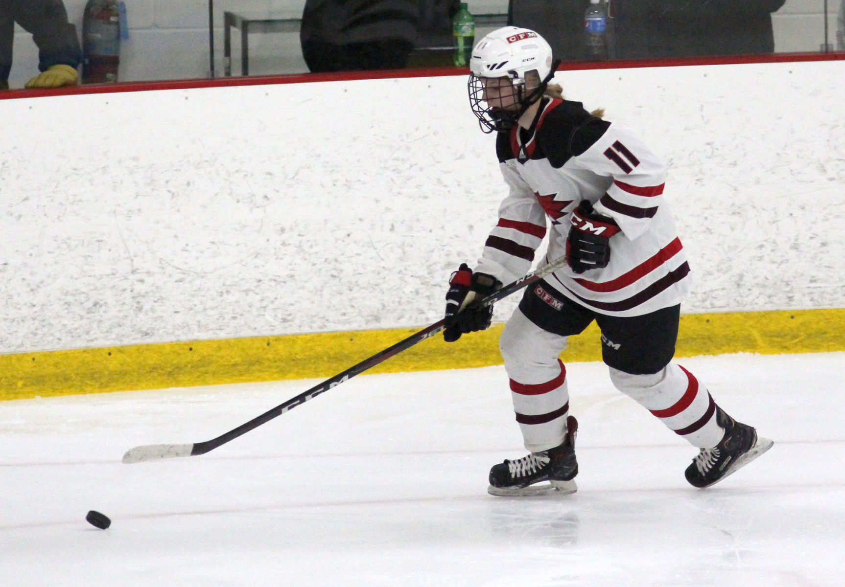 Hayward at Chippewa Falls/Menomonie girls hockey 2-20-20